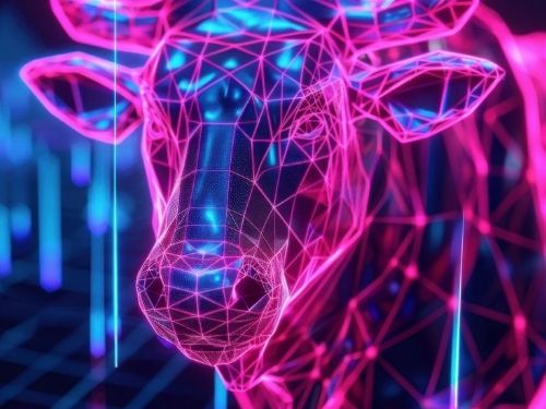 Registro genealógico Wagyu: por que ele é essencial para criadores e para o mercado